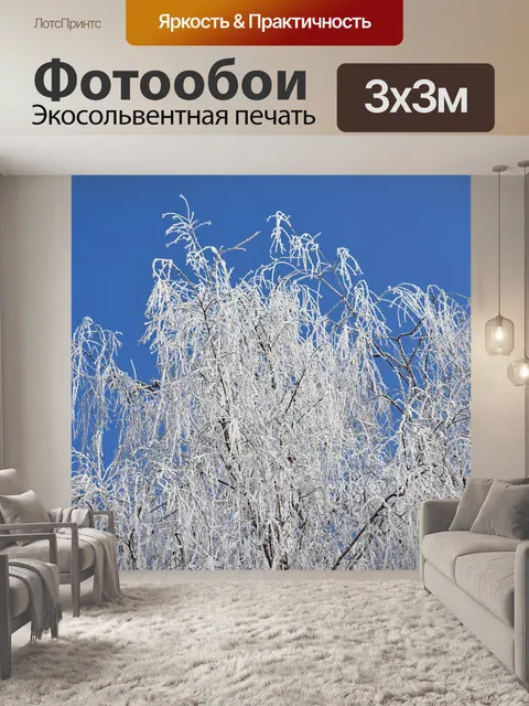 Фотообои Голубое небо