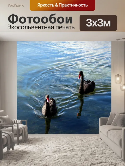 Фотообои Черные лебеди