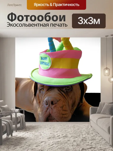Фотообои С Днем Рождения