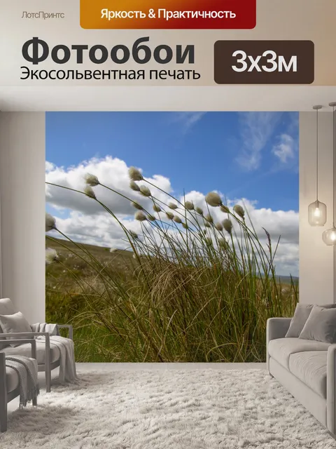 Фотообои Цветы хлопковой травы