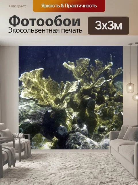 Фотообои Коралл