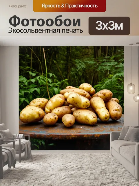 Фотообои микс различных сортов картошки