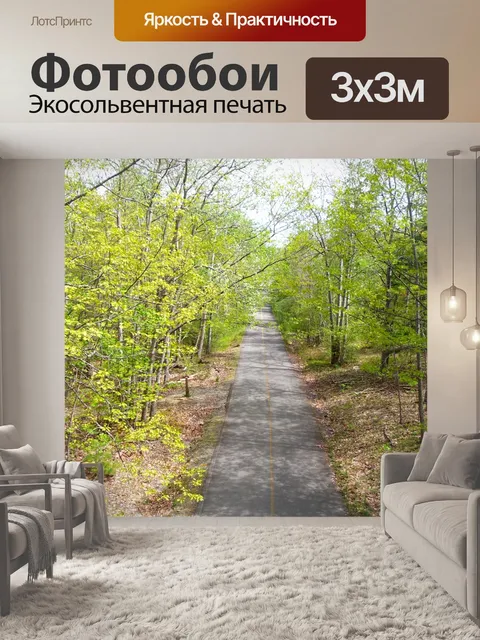 Фотообои Сельская дорога