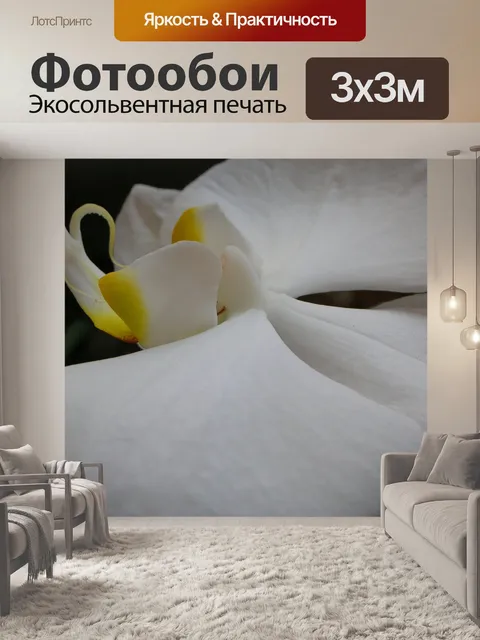 Фотообои Макрос