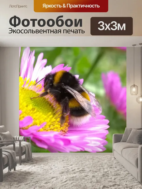 Фотообои Шмель на цветке