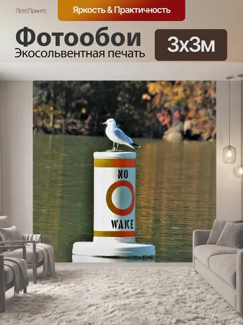 Фотообои Чайка с кольчатым кольцом без буйного бу