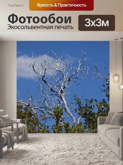 Фотообои ветки деревьев и голубое небо