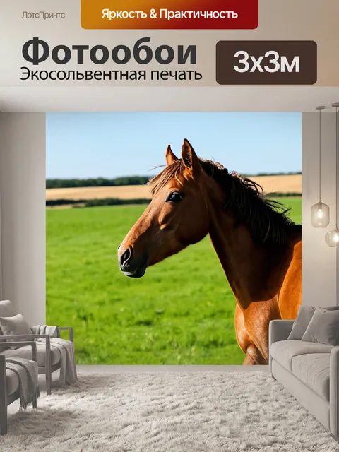 Фотообои лошадка в солнечном контексте, с зелеными пастбищами и ясным небом, её грива развевается на ветру