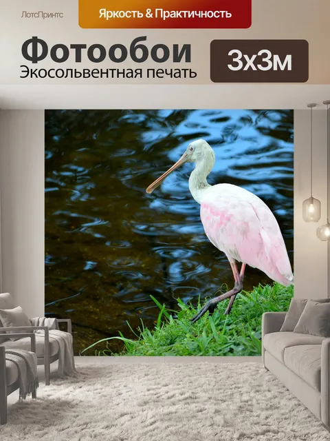 Фотообои Фон с фоном