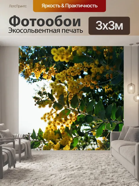 Фотообои желтые акации цветы с солнечными лучами