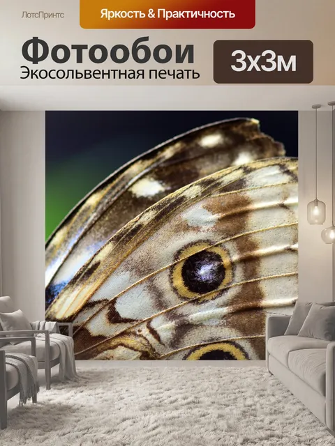 Фотообои Голубая бабочка морфо