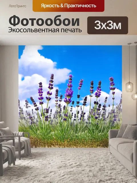 Фотообои расцветающая лаванда