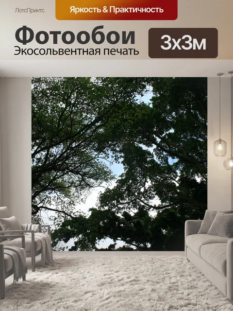 Фотообои высокие вершины дерева