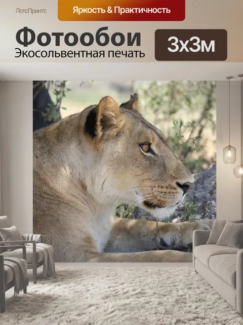 Фотообои Львица