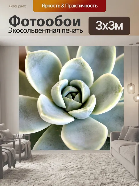 Фотообои Каменная роза