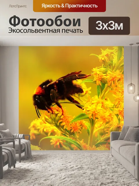 Фотообои Шмель газ