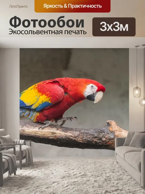 Фотообои Попугай