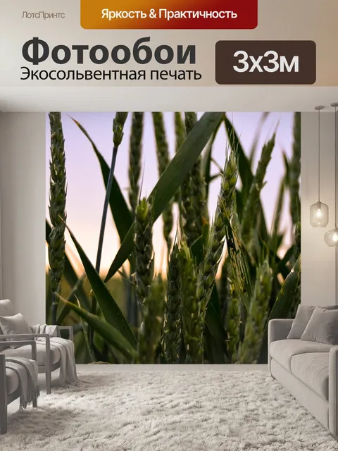 Фотообои Колоски