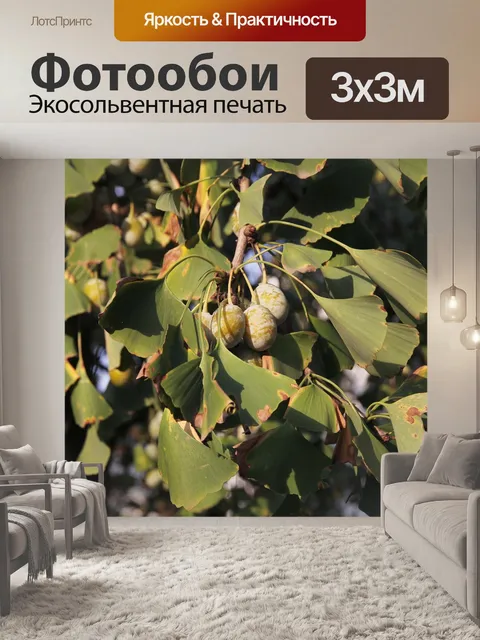 Фотообои Гинкго