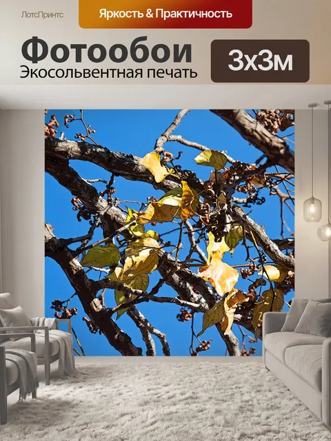 Фотообои акцентированные края на желтых листьях