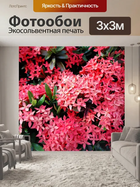 Фотообои Красные цветки