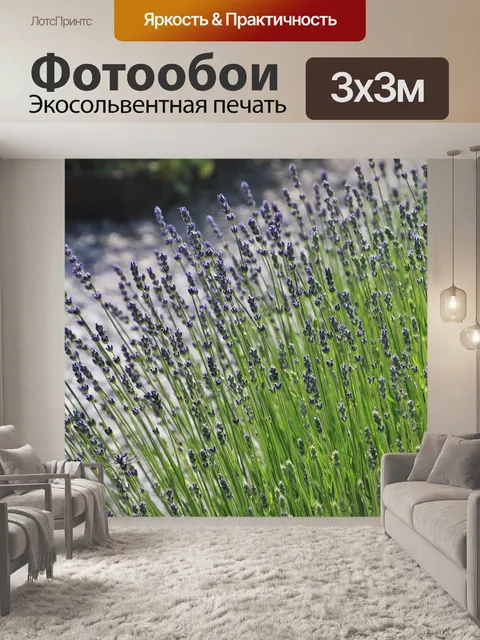Фотообои Лавандовые поля