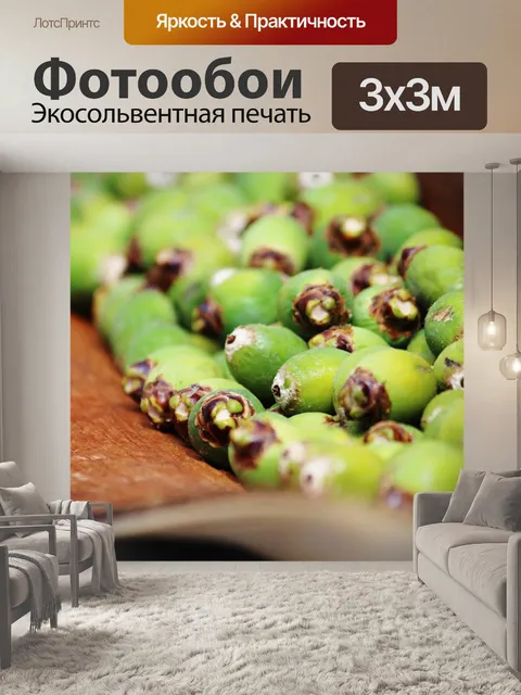 Фотообои Пальма
