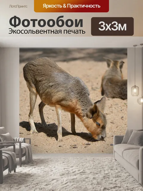 Фотообои Мара 07