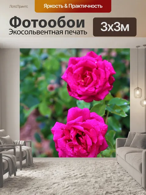 Фотообои Розы