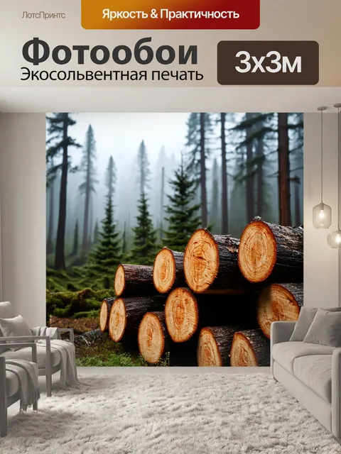 Фотообои Лесная сцена с высокими деревьями, запечатленная на фоне слегка затуманенного неба