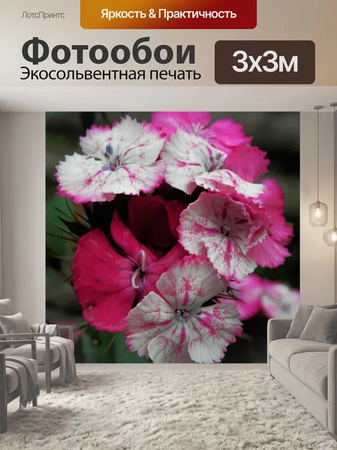 Фотообои Розовые и белые цветы