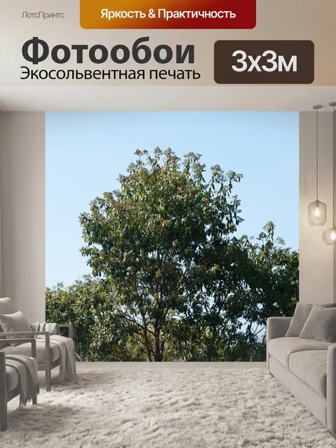 Фотообои верхушка лавандового дерева