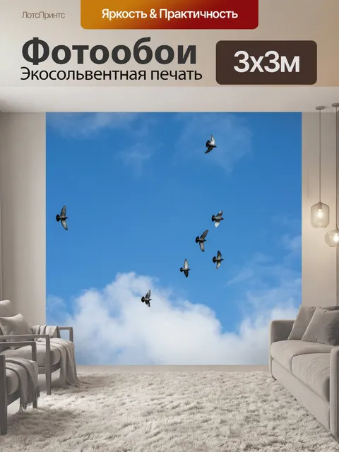 Фотообои Птицы летают