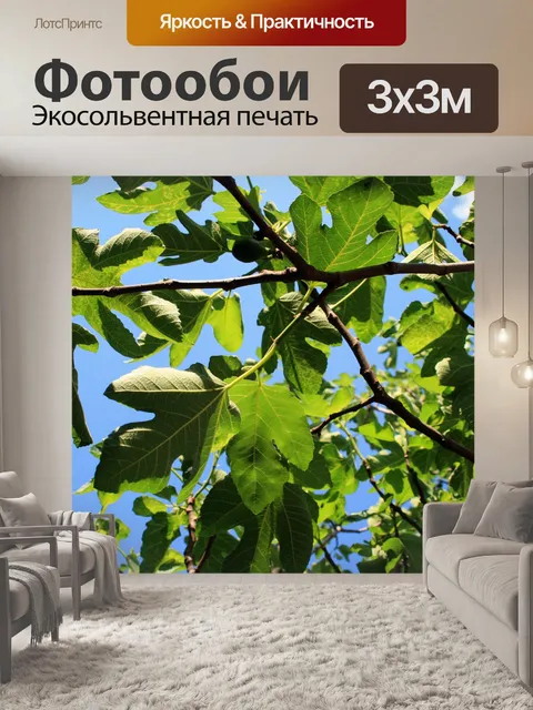 Фотообои фиговые листья и голубое небо