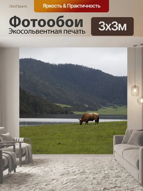 Фотообои Як