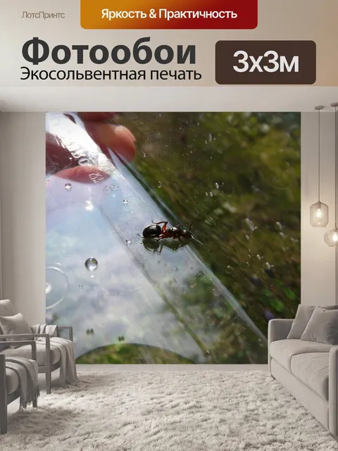 Фотообои Королева лесных муравьев