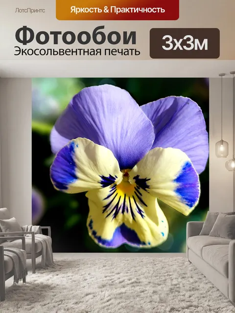 Фотообои Цветок