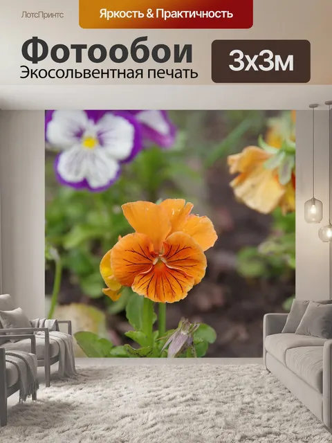 Фотообои Дача
