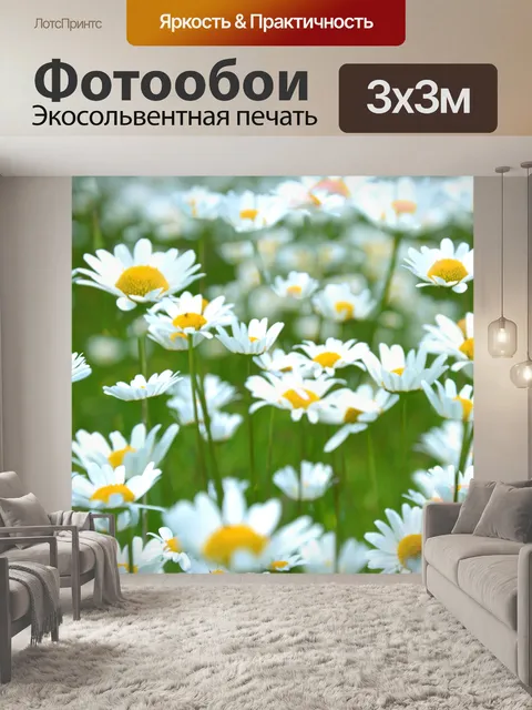 Фотообои Цветок ромашки цветет природа