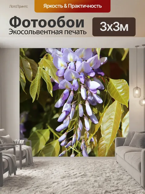 Фотообои Глициния
