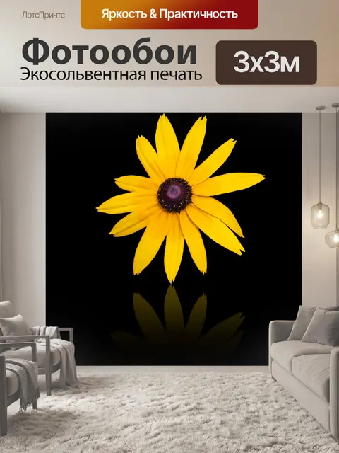 Фотообои Цветок, рудбекия, эхинацея