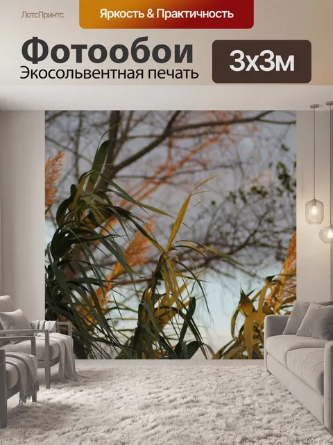 Фотообои Природа