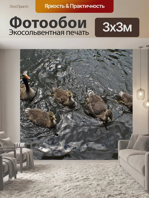 Фотообои Гусь семьи