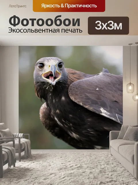 Фотообои Золотой орёл