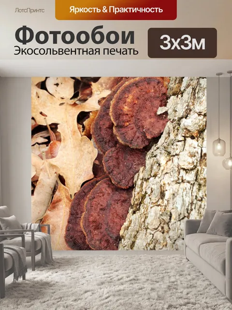 Фотообои Браун Турция хвост грибок на журнал