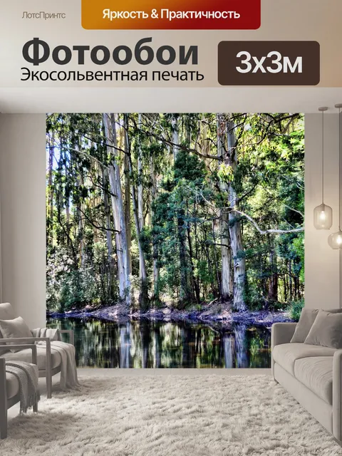 Фотообои Лес