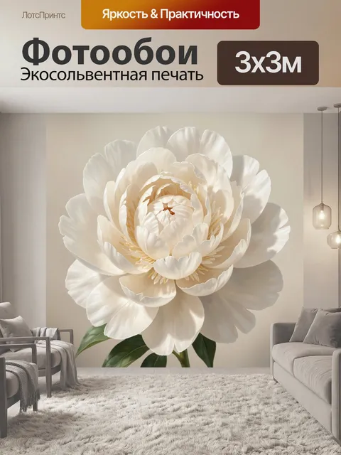 Фотообои Белоснежный распустившийся пион