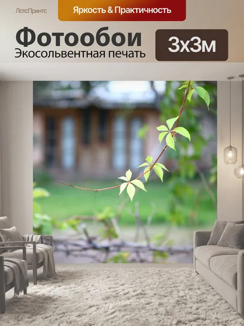 Фотообои Вьющееся растение