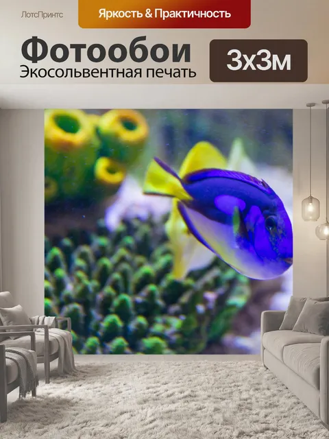 Фотообои синяя рыба