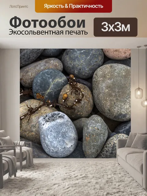 Фотообои галька и водоросли